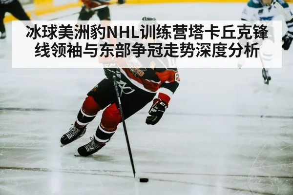 hockey player skating